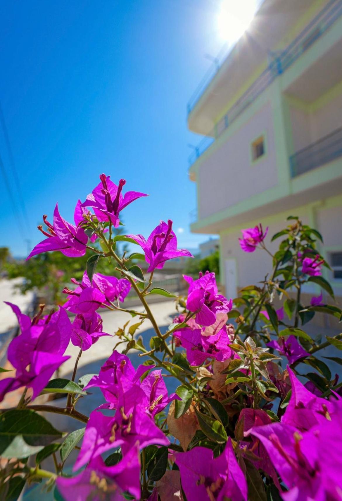Sunflower Hotel คซามิล ภายนอก รูปภาพ